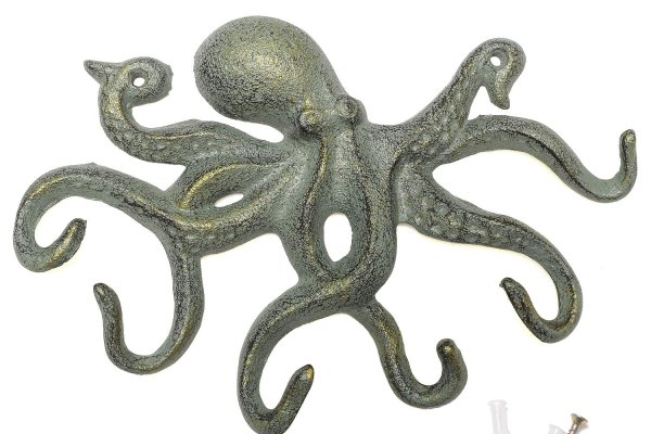 Kraken link