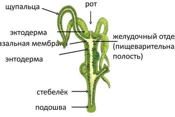 Зеркало kraken тор ссылка рабочее