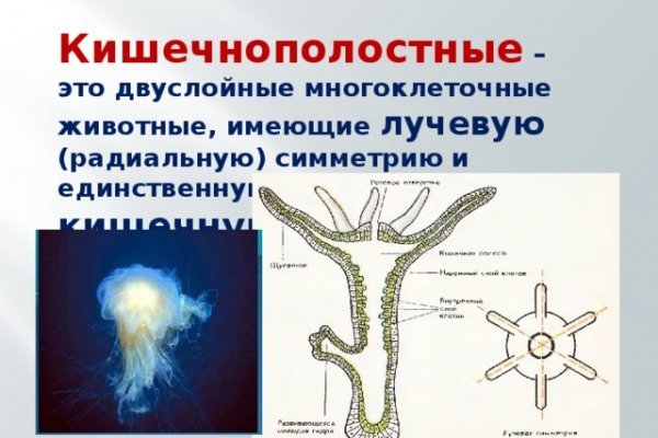 Кракен маркет тор